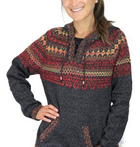 Alpaca Cozy Multicolor Knit Hoodie Pullover Sweater-WS090